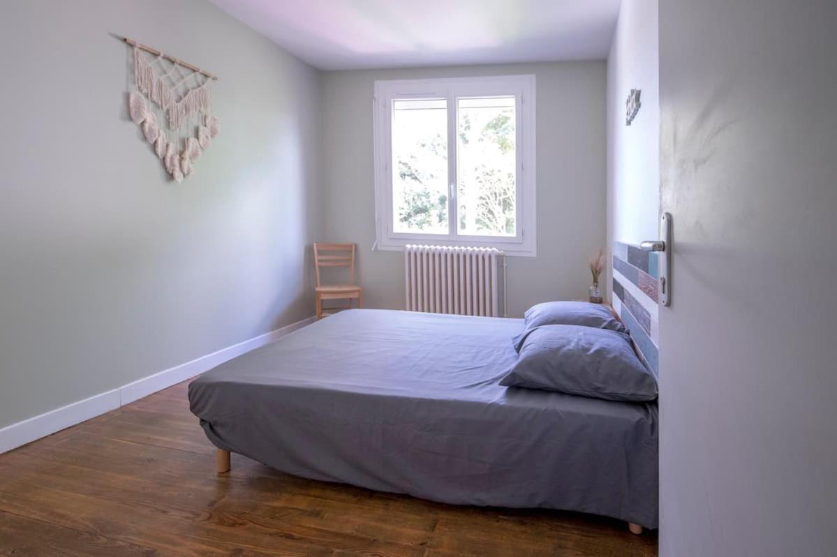 La Cahute, Appartement T2 Avec Jardin Ou Appartement Familial T6 Montauban Eksteriør bilde
