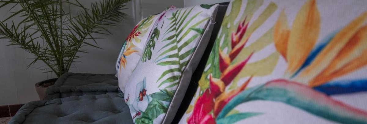 La Cahute, Appartement T2 Avec Jardin Ou Appartement Familial T6 Montauban Eksteriør bilde